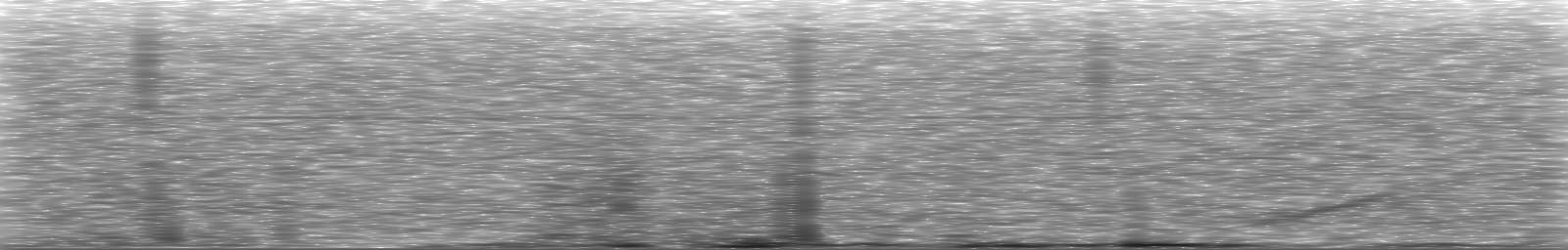 [Loading Spectrogram]