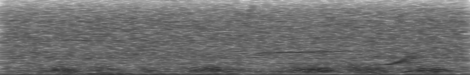 [Loading Spectrogram]