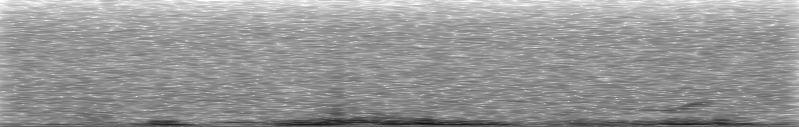 [Loading Spectrogram]