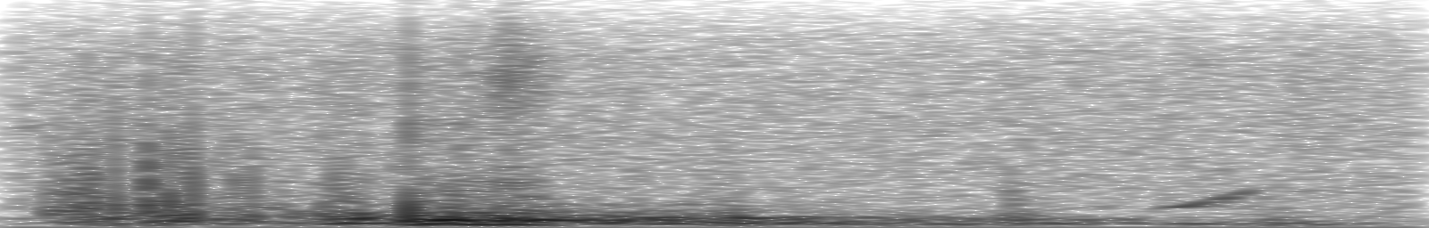 [Loading Spectrogram]