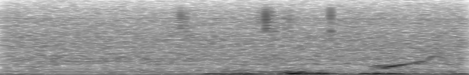[Loading Spectrogram]