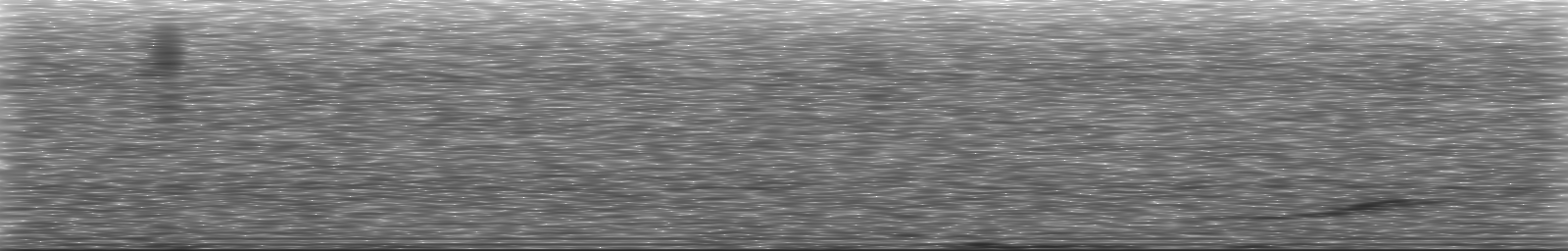 [Loading Spectrogram]