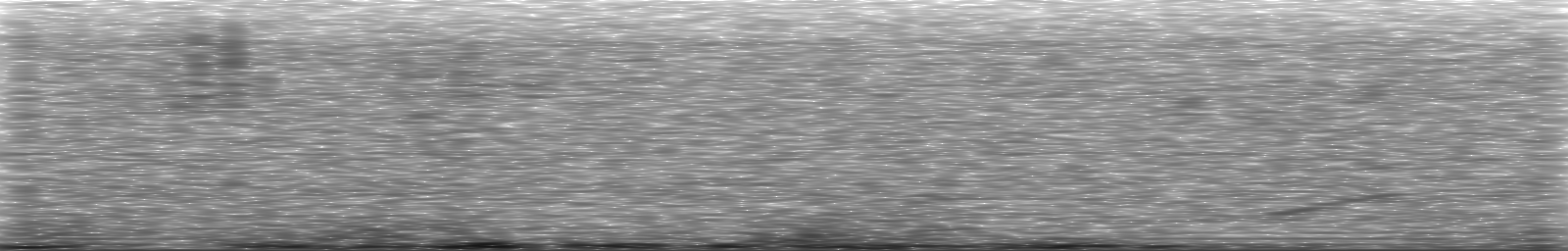 [Loading Spectrogram]