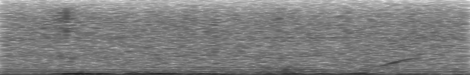 [Loading Spectrogram]
