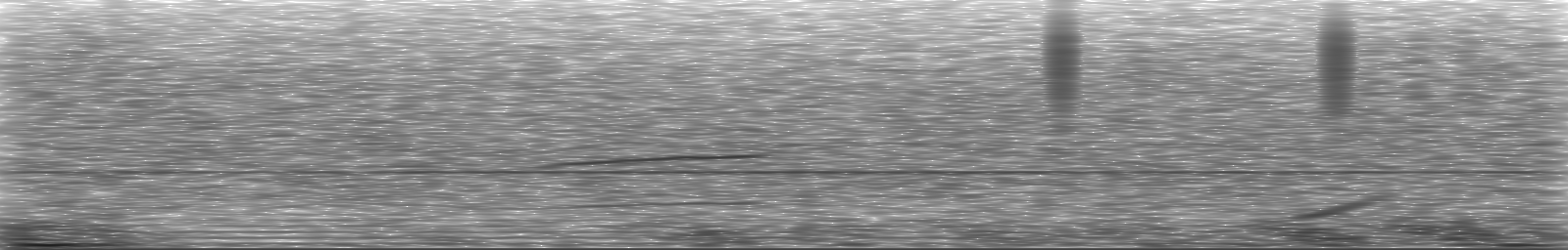 [Loading Spectrogram]