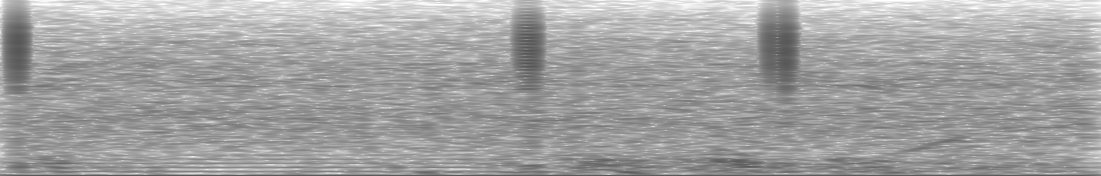 [Loading Spectrogram]