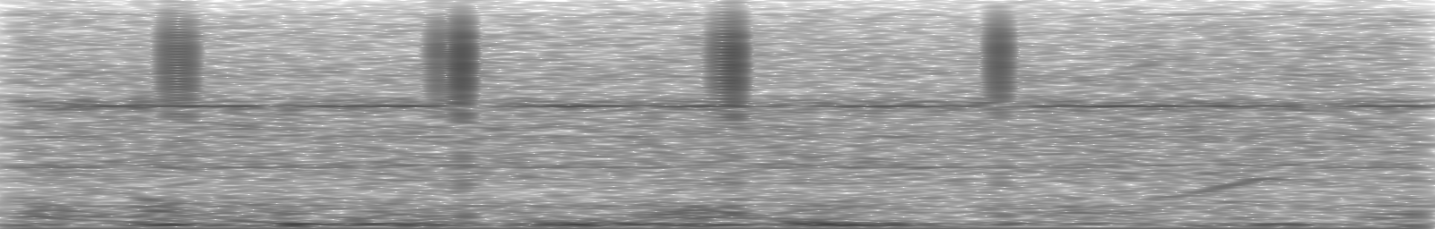 [Loading Spectrogram]