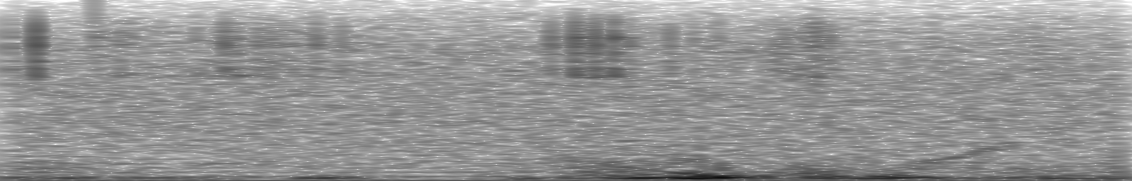 [Loading Spectrogram]