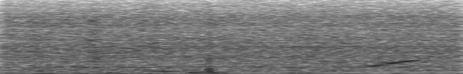 [Loading Spectrogram]
