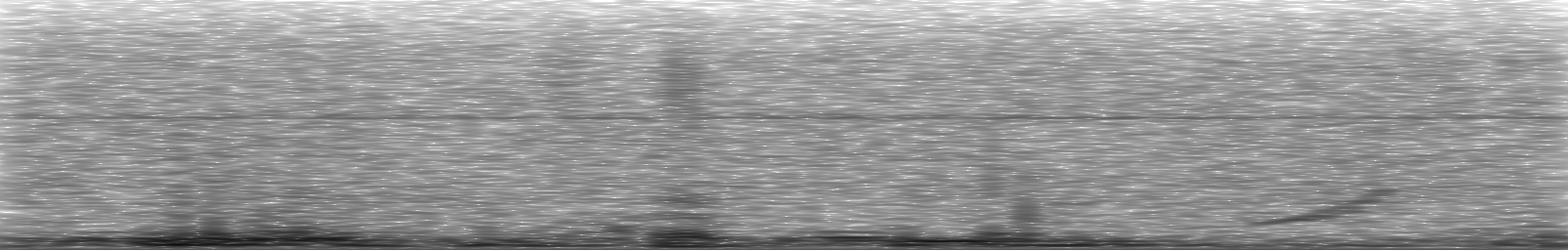 [Loading Spectrogram]