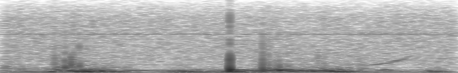 [Loading Spectrogram]