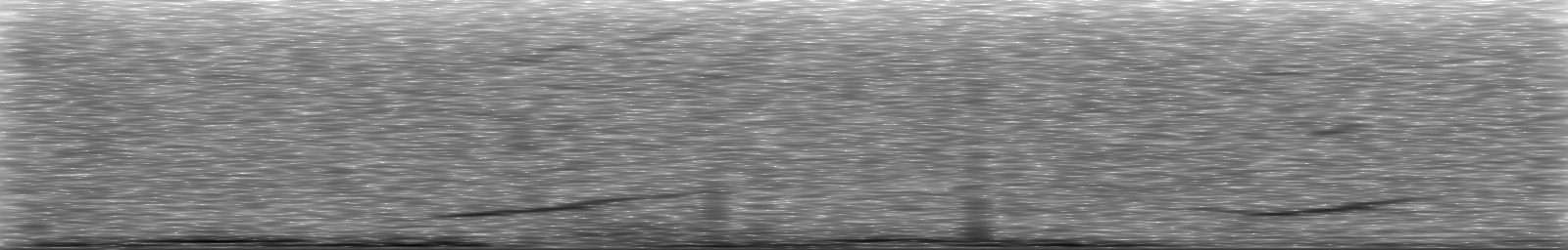 [Loading Spectrogram]