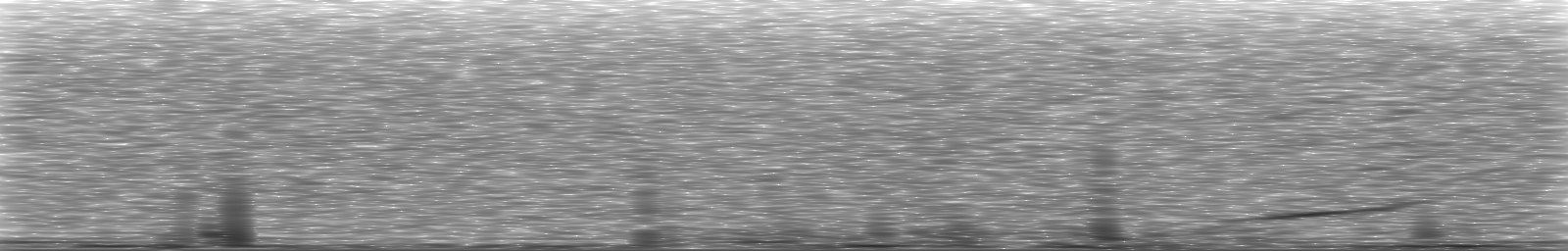 [Loading Spectrogram]