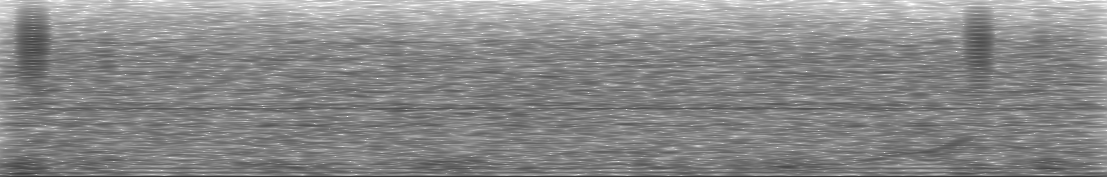 [Loading Spectrogram]