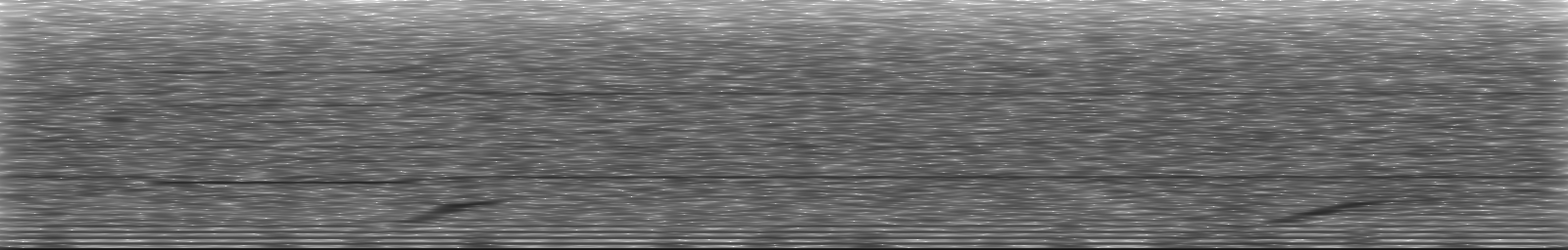 [Loading Spectrogram]