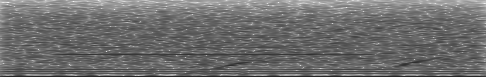 [Loading Spectrogram]