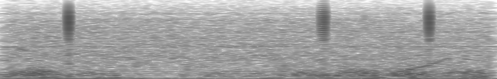 [Loading Spectrogram]
