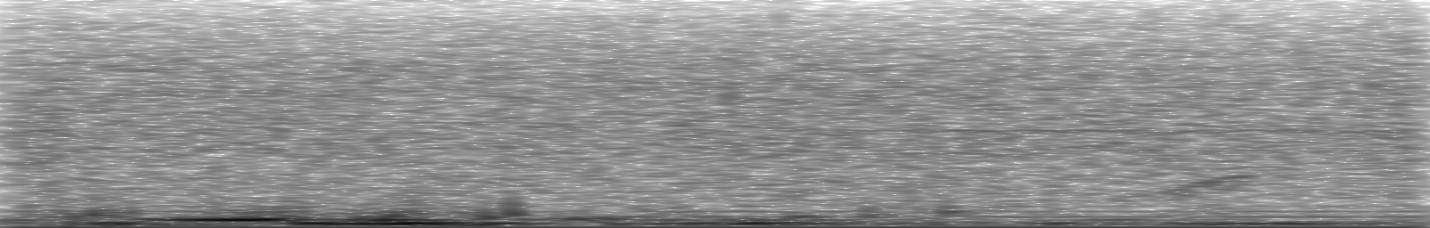 [Loading Spectrogram]