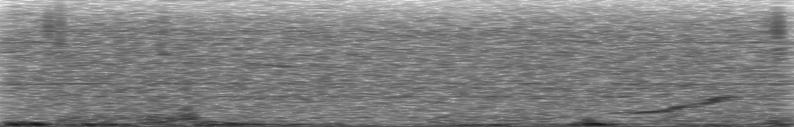 [Loading Spectrogram]