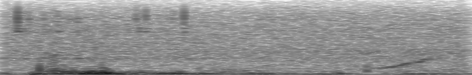 [Loading Spectrogram]