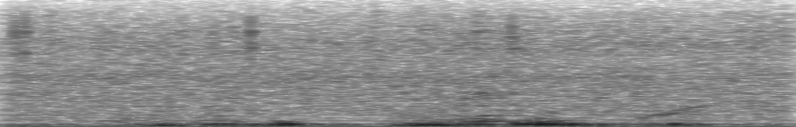 [Loading Spectrogram]