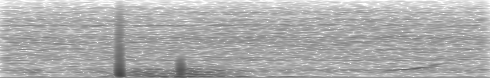 [Loading Spectrogram]