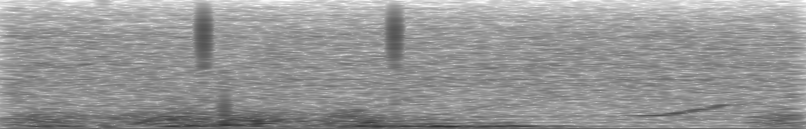 [Loading Spectrogram]