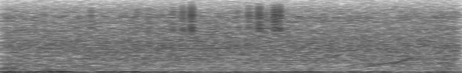 [Loading Spectrogram]