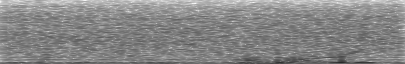 [Loading Spectrogram]