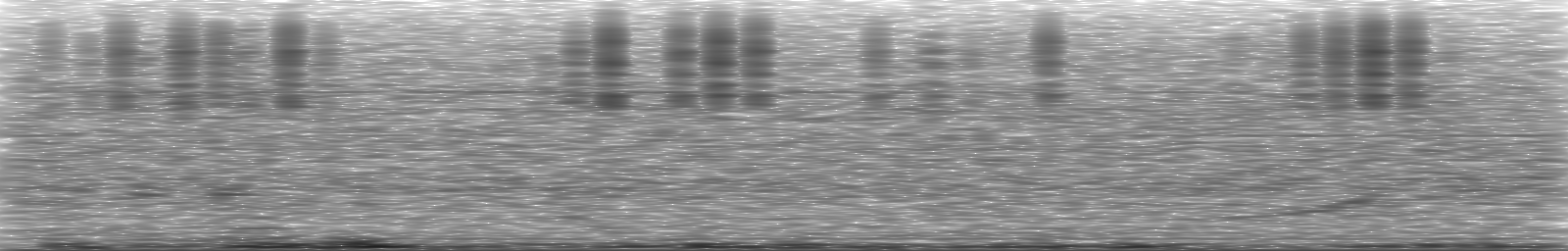 [Loading Spectrogram]
