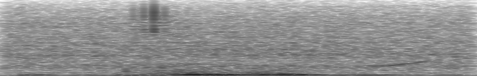 [Loading Spectrogram]