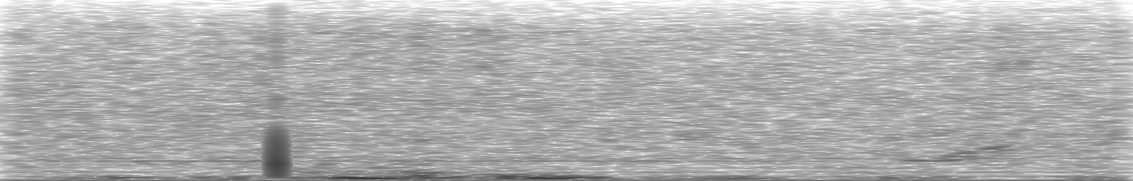 [Loading Spectrogram]