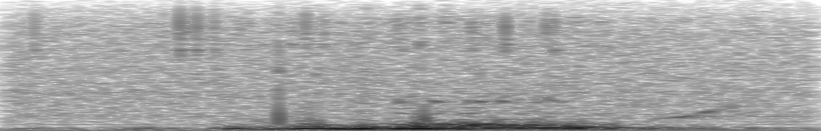 [Loading Spectrogram]