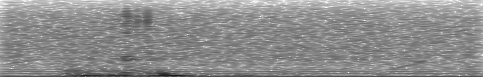 [Loading Spectrogram]