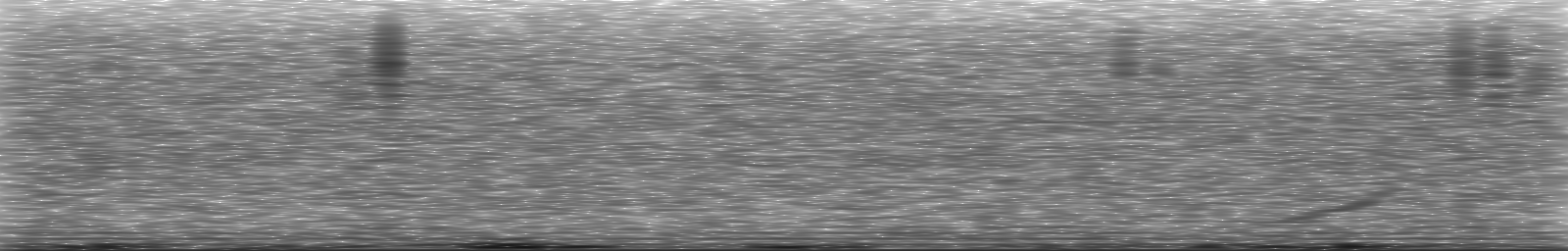 [Loading Spectrogram]