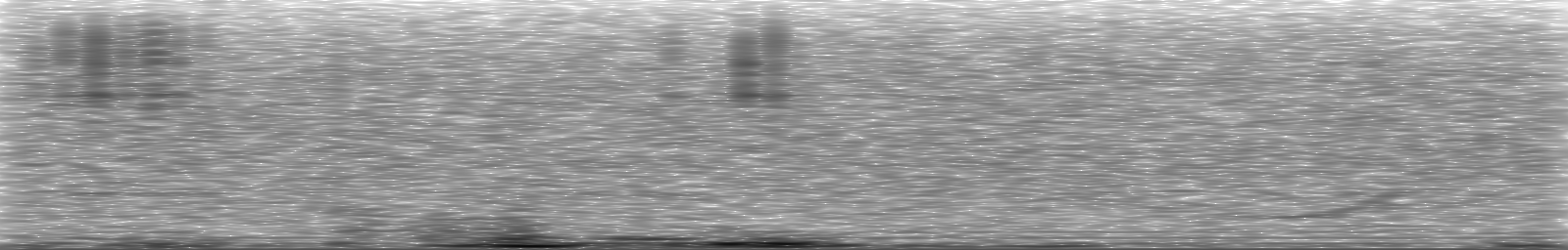[Loading Spectrogram]