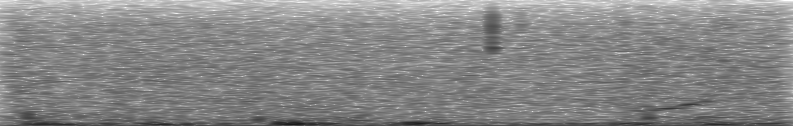 [Loading Spectrogram]