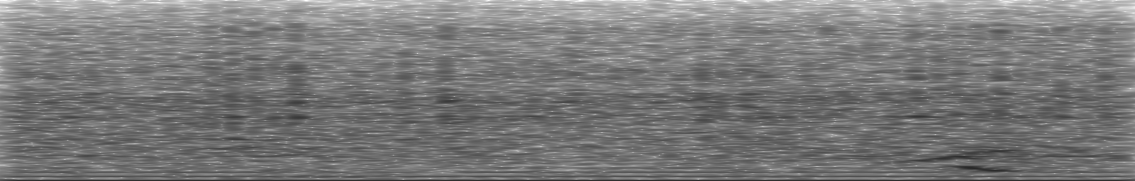 [Loading Spectrogram]