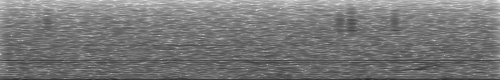 [Loading Spectrogram]