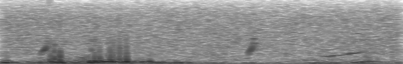 [Loading Spectrogram]