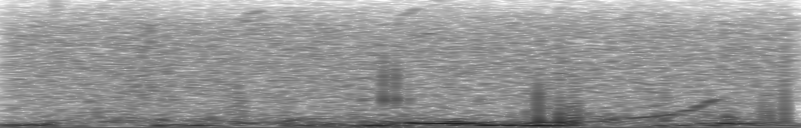[Loading Spectrogram]