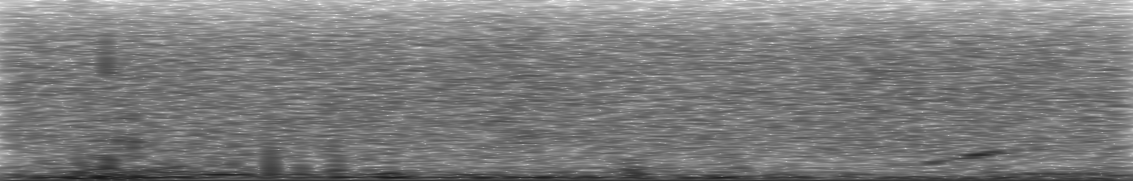 [Loading Spectrogram]