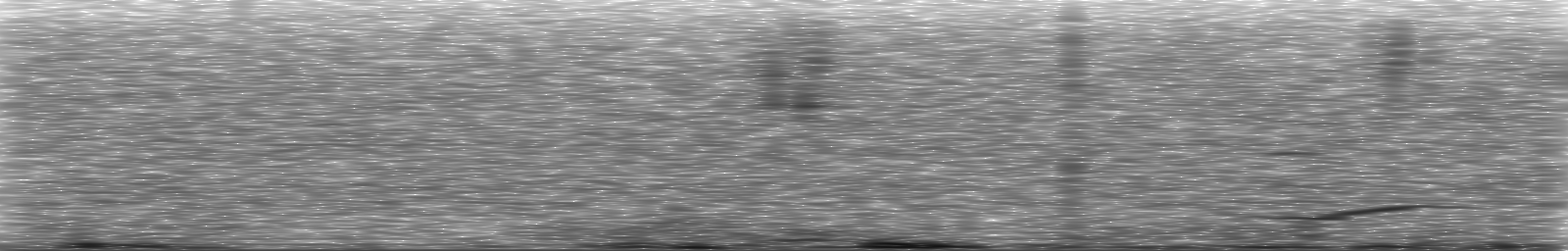 [Loading Spectrogram]