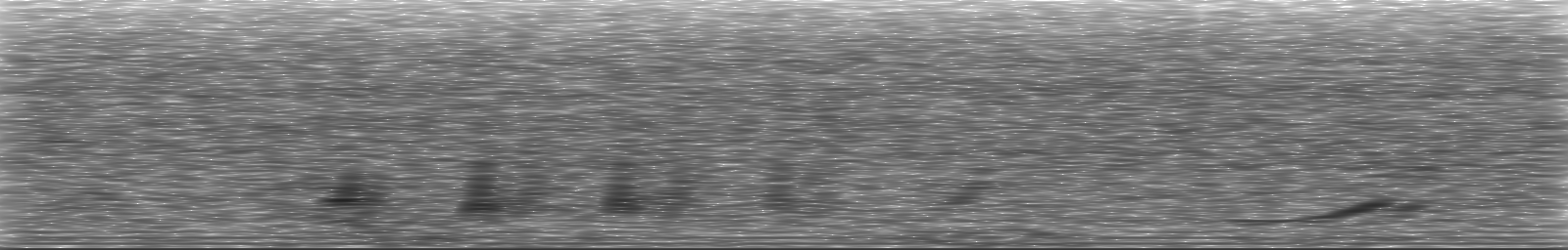 [Loading Spectrogram]