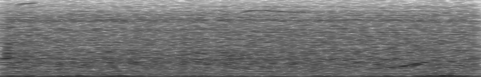 [Loading Spectrogram]