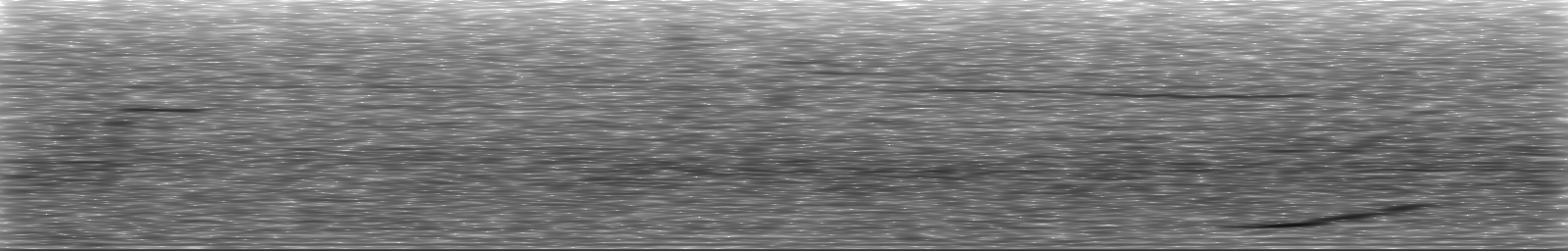 [Loading Spectrogram]