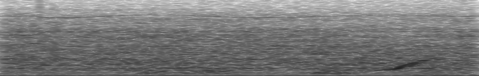 [Loading Spectrogram]