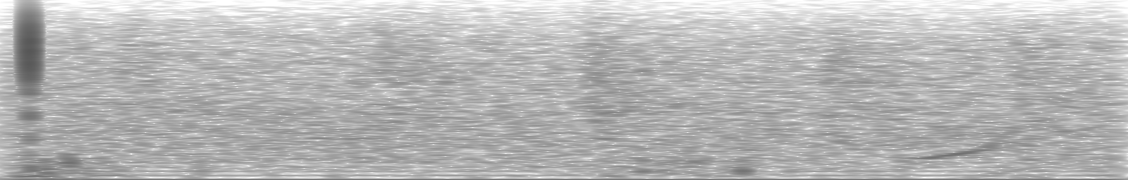 [Loading Spectrogram]