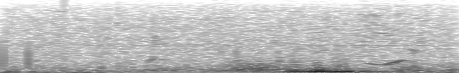 [Loading Spectrogram]