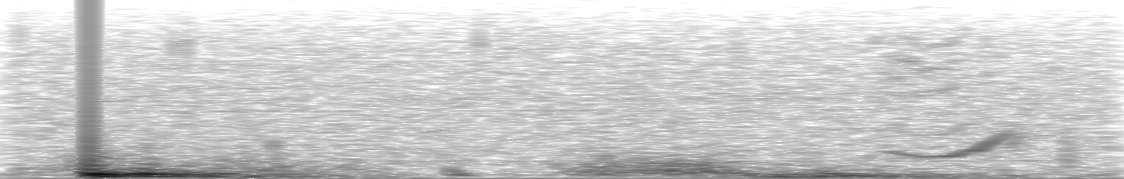 [Loading Spectrogram]